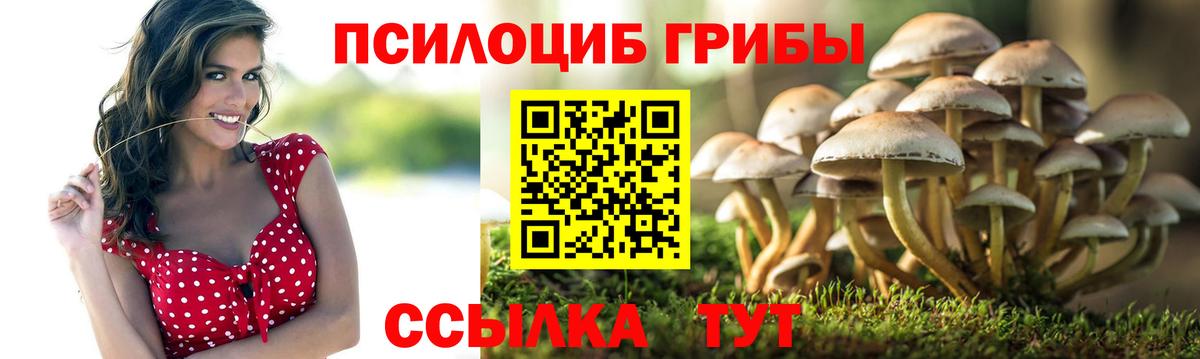 Галлюциногенные грибы MAGIC MUSHROOMS  Вход с VPN  Псилоцибиновые грибы мухоморы  Великие Луки 